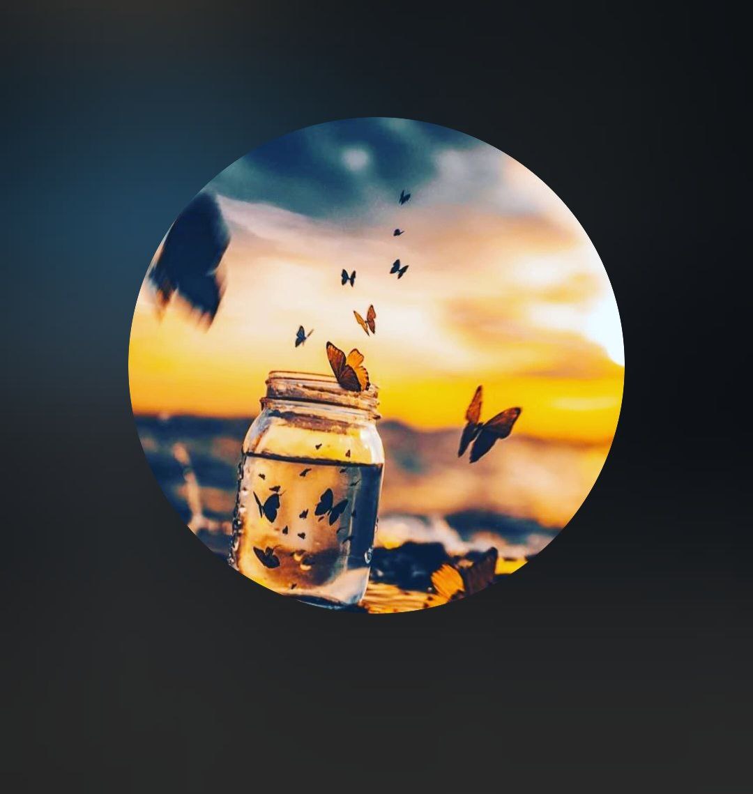 sadegh.fx.25